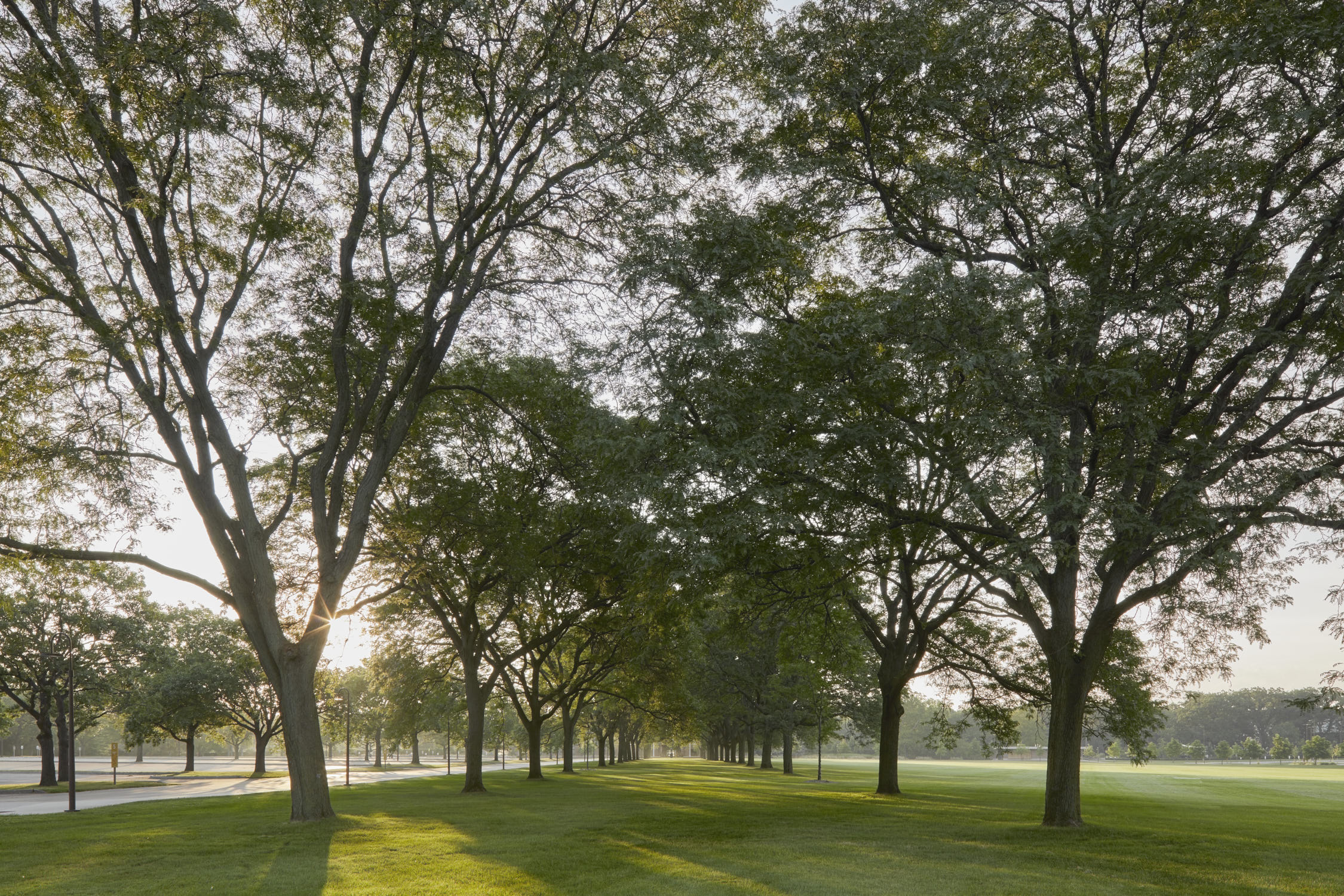 Cantigny Park